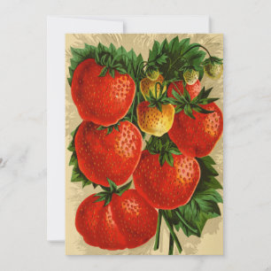 Vintageillustration av Jessie-jordgubbe