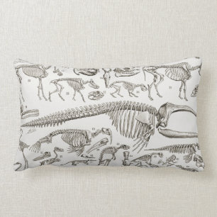 Vintageillustration av mänskliga och djurskelett lumbarkudde
