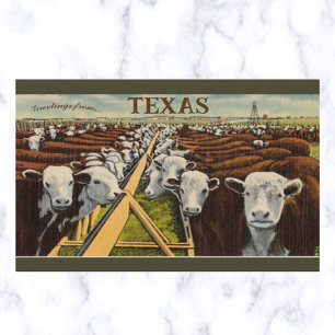 Vintageillustration av nötkreatur i Midland Texas Vykort