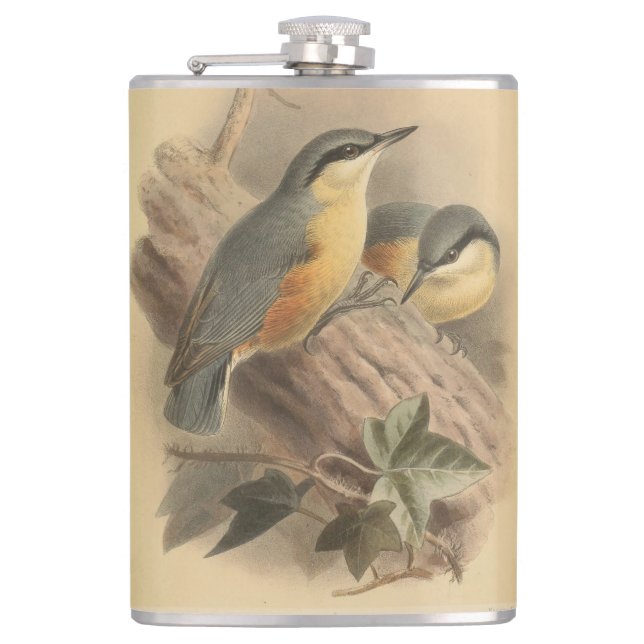 Vintageillustration av nötväcka fickplunta (Framsidan)