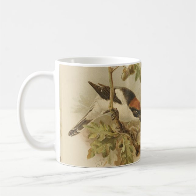 Vintageillustration av Rödhuvad törnskata Kaffemugg (Vänster)
