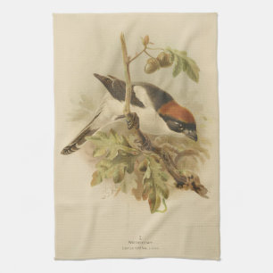 Vintageillustration av Rödhuvad törnskata Kökshandduk