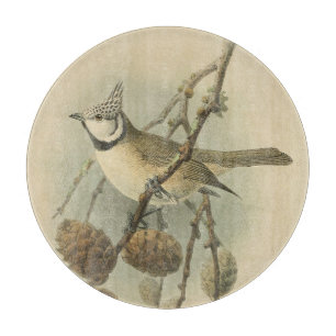 Vintageillustration av Tofsmes