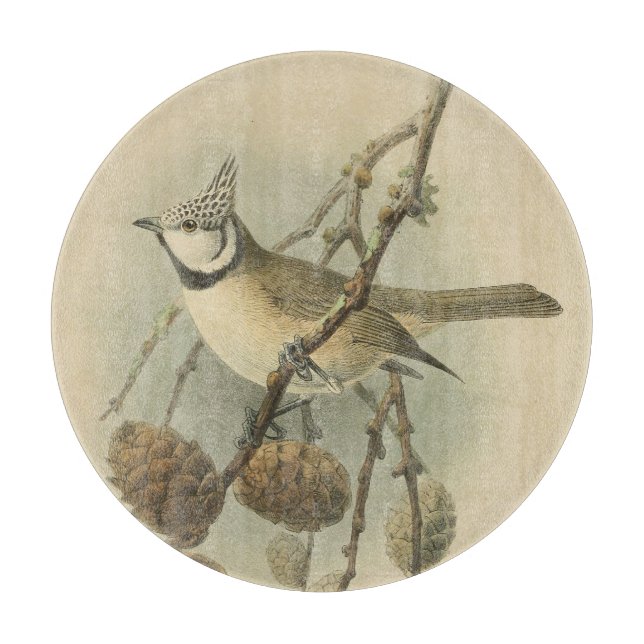 Vintageillustration av Tofsmes (Framsidan)