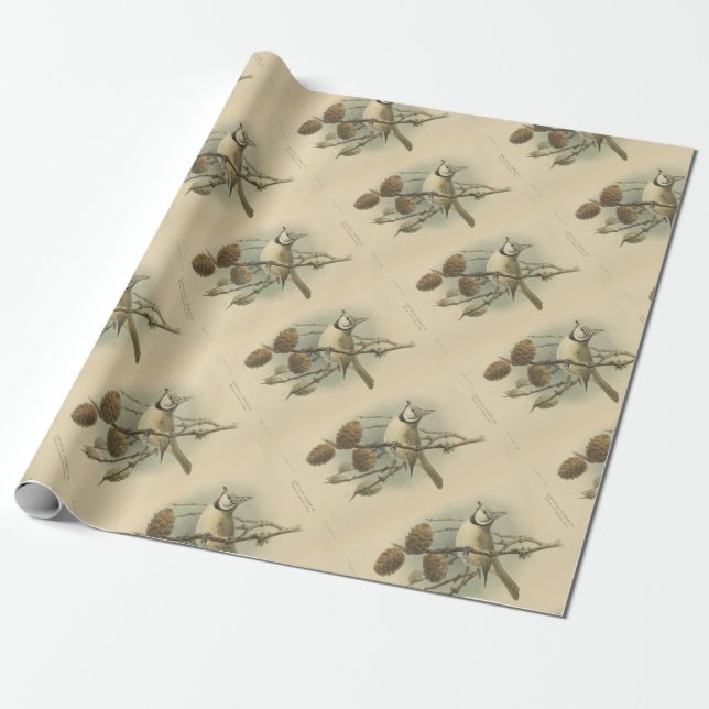 Vintageillustration av Tofsmes Presentpapper (Utrullad)