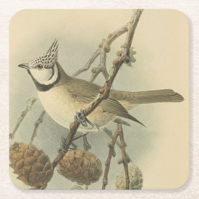 Vintageillustration av Tofsmes Underlägg Papper Kvadrat (Framsidan)