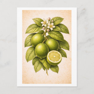 Vintageinspirerad botanisk illustration av nyckel  vykort