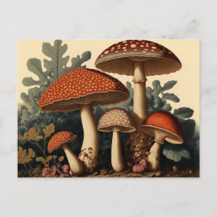 Vintageinspirerad Cottagecore Svampkonst Vykort
