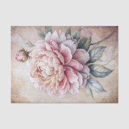Vintageinspirerad enkel pastellfärgad pionblomma