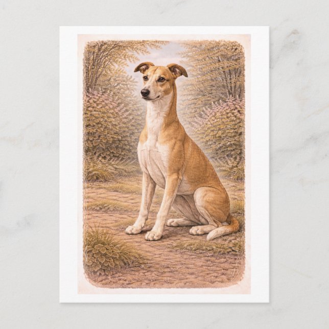 Vintageinspirerad Greyhound Vykort (Framsida)