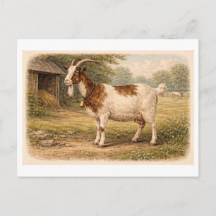 Vintageinspirerad illustration av get vykort
