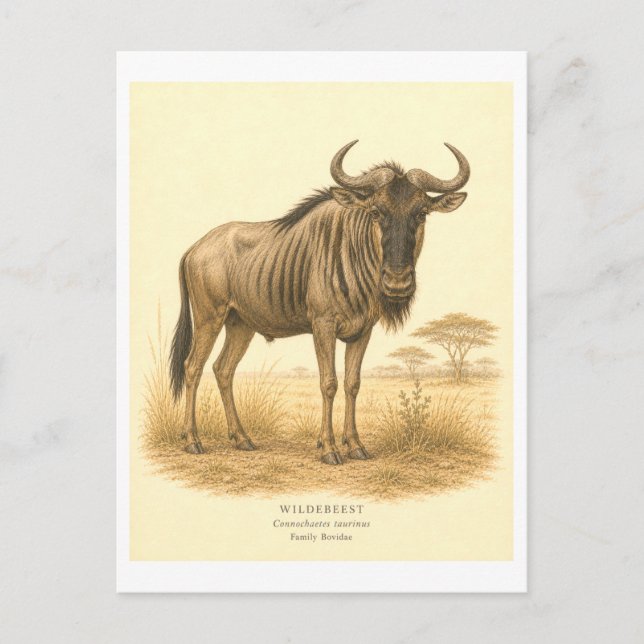 Vintageinspirerad illustration av gnu vykort (Framsida)