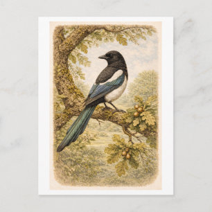 Vintageinspirerad illustration av skata vykort