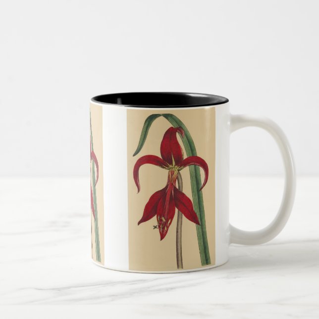 VintageIrismugg Två-Tonad Mugg (Höger)