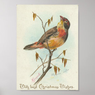 Vintagejulfågel Poster