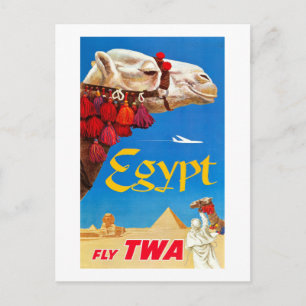 Vintagekamel och pyramider vykort