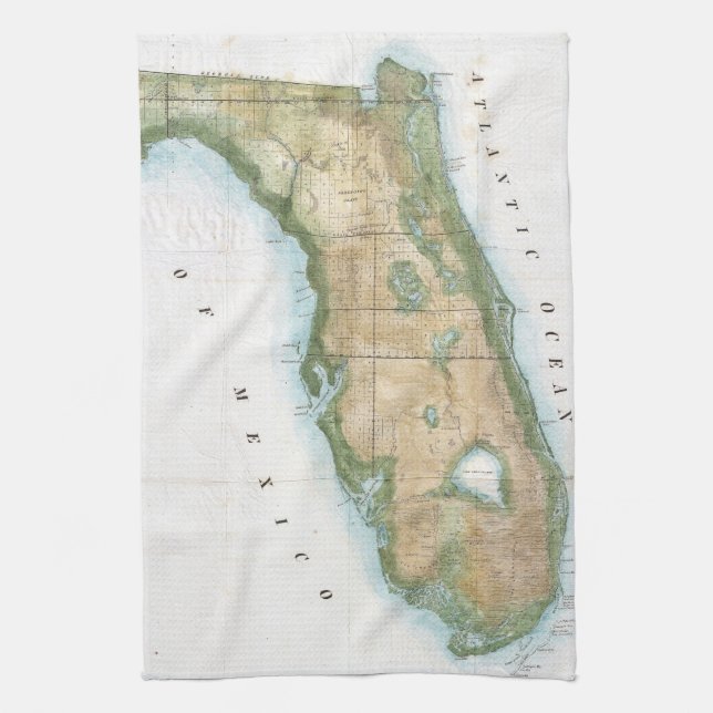 Vintagekarta av Florida (1848) Kökshandduk (Vertikal)