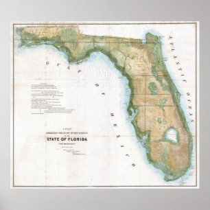 Vintagekarta av Florida (1848) Poster