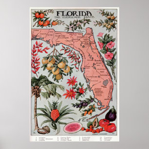 Vintagekarta av Florida (1917) Poster