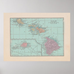 Vintagekarta av Hawaii - färgversion Poster