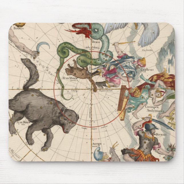 Vintagekarta av nordpolenen musmatta (Framsidan)