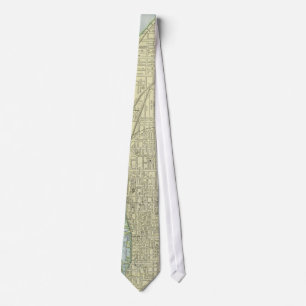 Vintagekarta av Toronto (1901) Slips