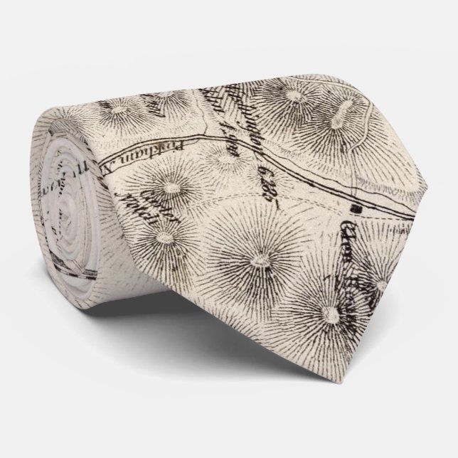 Vintagekarta av vitbergen (1872) slips (Rullad)