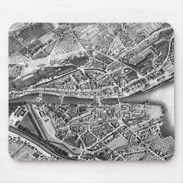 Vintagekarta av Zurich Schweitz (1850) Musmatta (Framsidan)