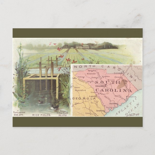 Vintagekarta över South Carolina Vykort (Framsida)