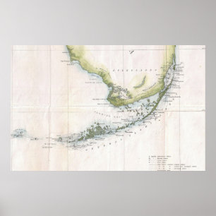 Vintagekartan av Florida stämm (1852) Poster