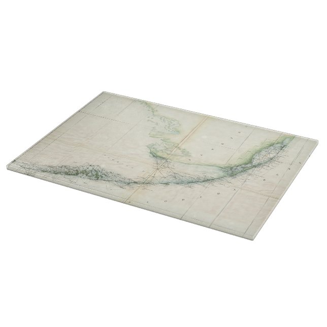 Vintagekartan av Florida stämm (1859) (Hörn)