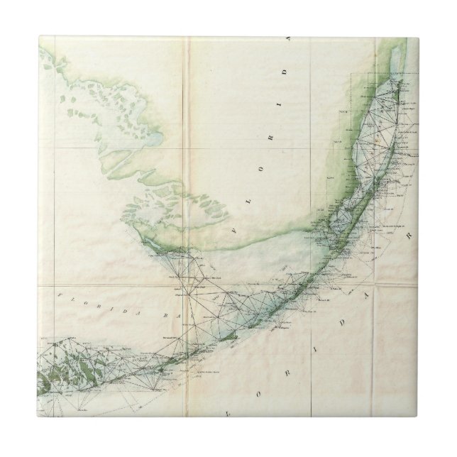 Vintagekartan av Florida stämm (1859) Kakelplatta (Framsidan)