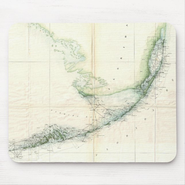 Vintagekartan av Florida stämm (1859) Musmatta (Framsidan)