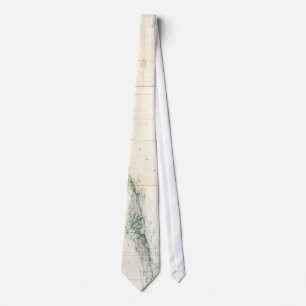 Vintagekartan av Florida stämm (1859) Slips