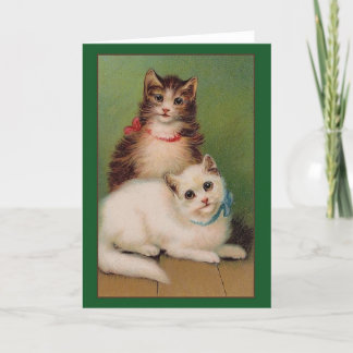 Vintagekatter noterar kortet kort