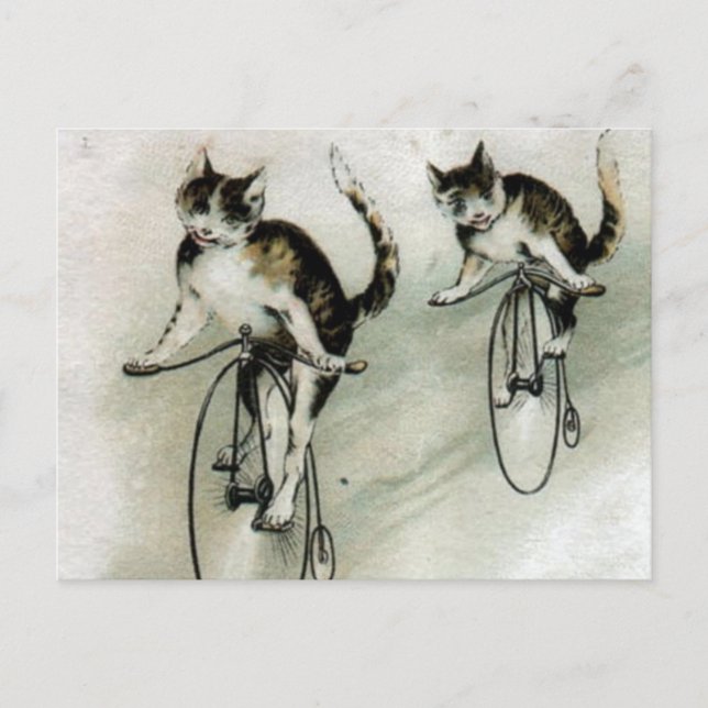 Vintagekatter på cyklar vykort (Framsida)