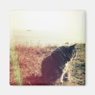 Vintagekattmagnet Magnet