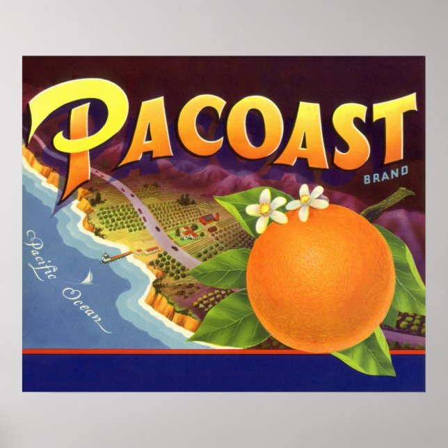 Vintagekonst från fruktlåda, Pacoast Apelsiner Poster (Framsidan)