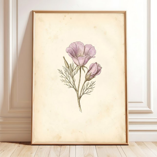 Vintagekonsttryck av botanisk konst poster (Skapare uppladdad)