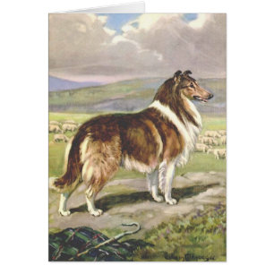 Vintagekonstverk - grov Colliehund, Hälsningskort
