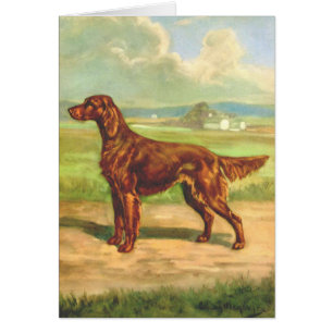 Vintagekonstverk - irländsk Setterhund, Hälsningskort