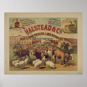 Vintageköttpackare Poster