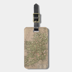 Vintageläkarundersökningkarta av Irland (1880) Bagagebricka