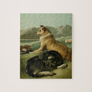 Vintagemålning: Colliehundar Pussel