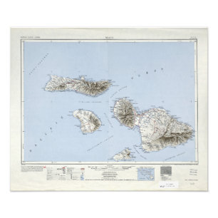 VintageMaui Hawaii topografisk karta Fototryck