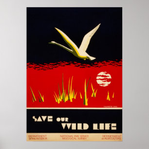 Vintagen återställde sparan vid vilda djur trumpet poster