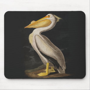 Vintagen Audubon White Pelican Bird Skriv ut Musmatta