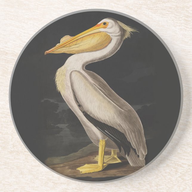 Vintagen Audubon White Pelican Bird Skriv ut Underlägg (Framsidan)