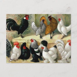 vintagen "Bantams" Vykort