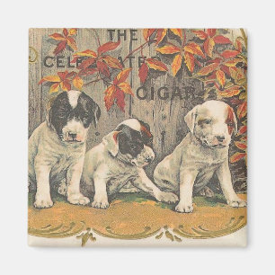 Vintagen Cigar Ad. Magnet